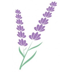 autocollants muraux lavande chambre