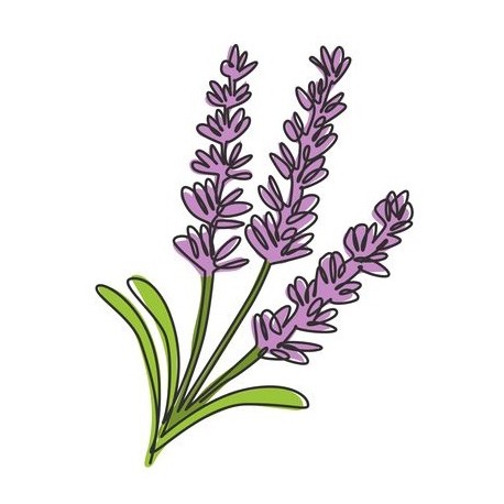 autocollants muraux lavande deco