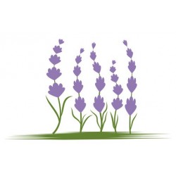 autocollants muraux lavande design