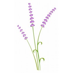 autocollants muraux lavande en brin