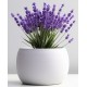 autocollants muraux lavande en pot