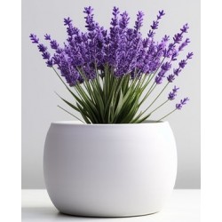 autocollants muraux lavande en pot