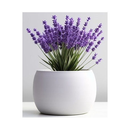 autocollants muraux lavande en pot