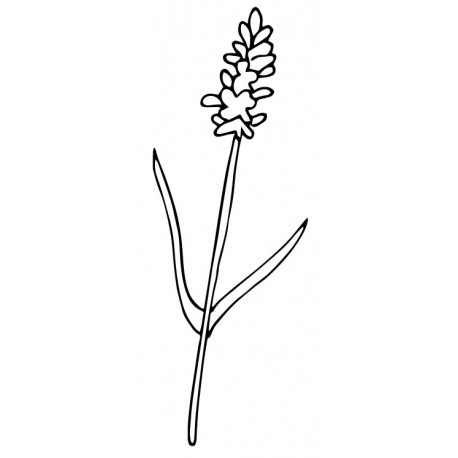 sticker mural lavande