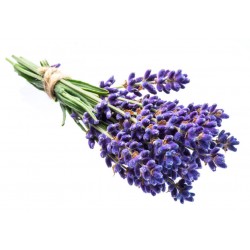 sticker mural lavande bouquet