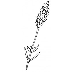 sticker mural lavande decoratif