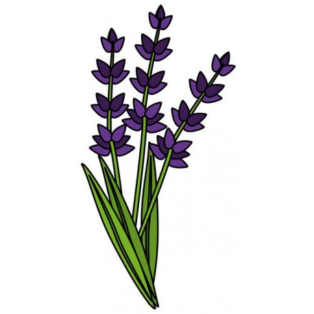 sticker mural lavande design