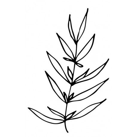 sticker mural plante deco