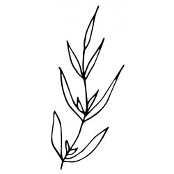 sticker mural plante decoration