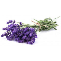 sticker muraux lavande bouquet