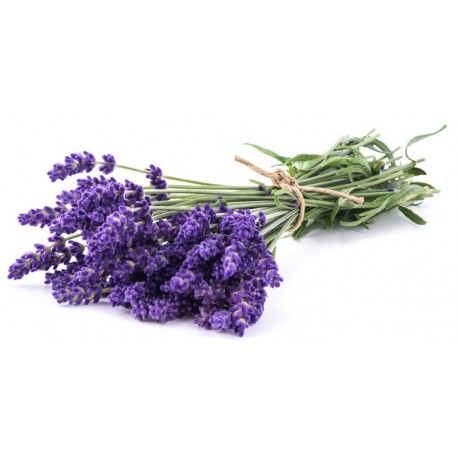 sticker muraux lavande bouquet