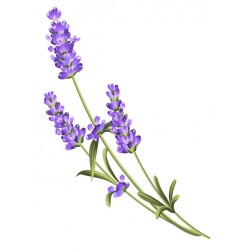 sticker muraux lavande decoration