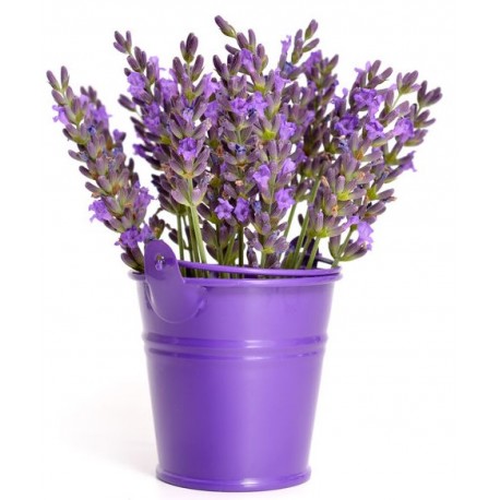 sticker muraux lavande pot