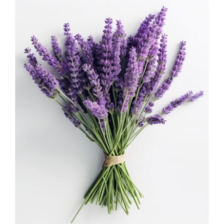 stickers mural lavande bouquet