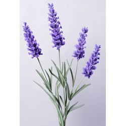 stickers mural lavande decoration