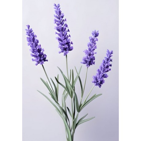 stickers mural lavande decoration