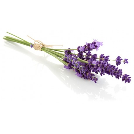 stickers mural lavande en brin