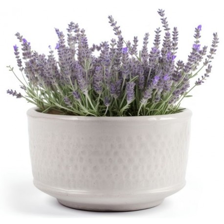 stickers mural lavande en pot