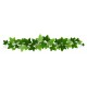 sticker mural lierre geant