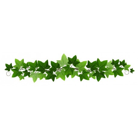 sticker mural lierre geant
