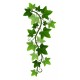 stickers muraux lierre decoration