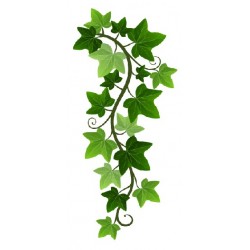 stickers muraux lierre decoration