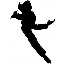 autocollant mural patineur