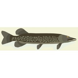 stickers muraux brochet