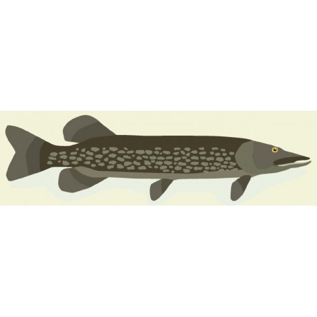 stickers muraux brochet