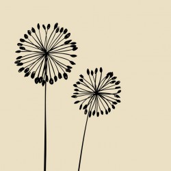 autocollant muraux pissenlit