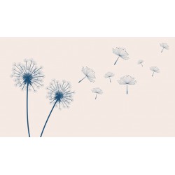 autocollant muraux pissenlit pas cher