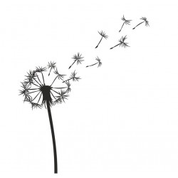 autocollants muraux pissenlit