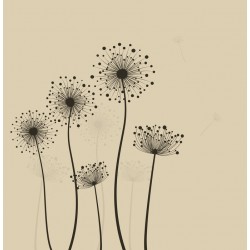 autocollants muraux pissenlits