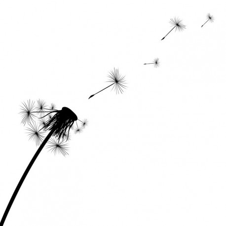 sticker muraux pissenlit