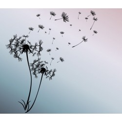 sticker muraux pissenlit chambre