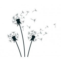 sticker muraux pissenlit design