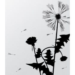 stickers muraux pissenlit