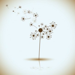 stickers muraux pissenlit decoratif