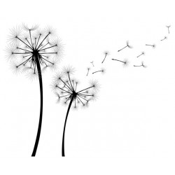 stickers muraux pissenlit pas cher
