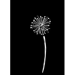 stickers muraux pissenlits chambre