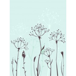 stickers pissenlit muraux design