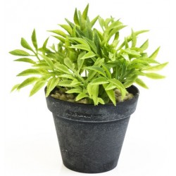 autocollants muraux plante versa