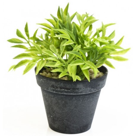 autocollants muraux plante versa