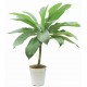 sticker muraux plante geant