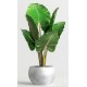 stickers muraux plante geant