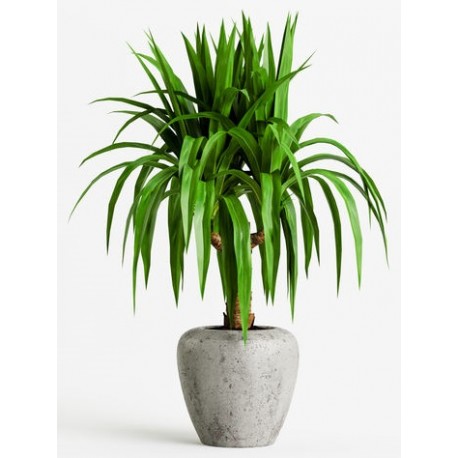 stickers muraux plantes chambre