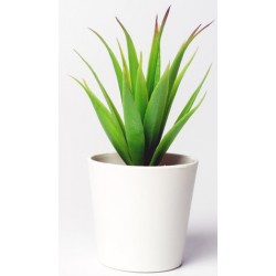 stickers muraux plantes en pot