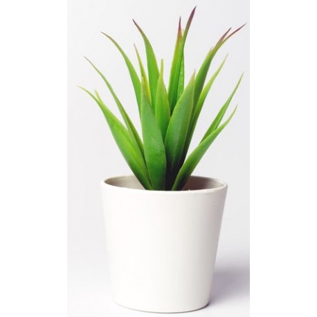 stickers muraux plantes en pot