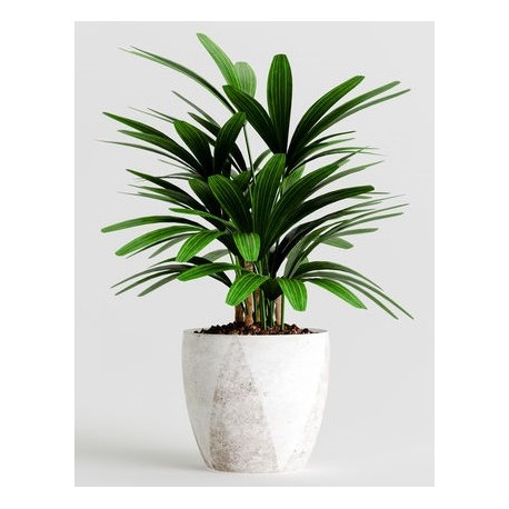 stickers muraux plantes salon