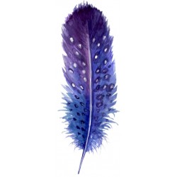 autocollant muraux plume geant